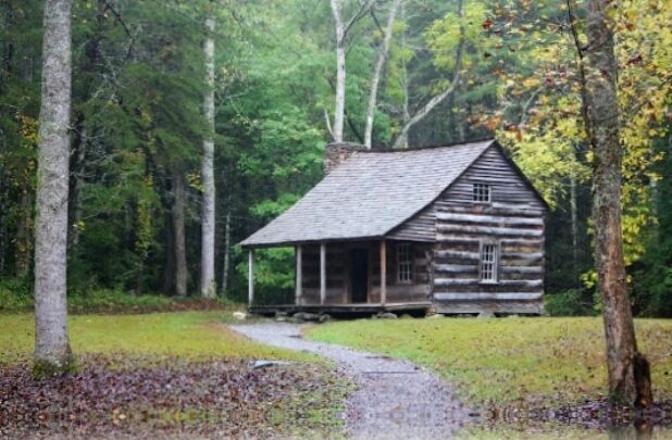 Il prend sa retraite à 40 ans pour vivre dans une cabane de 32 mètres carrés