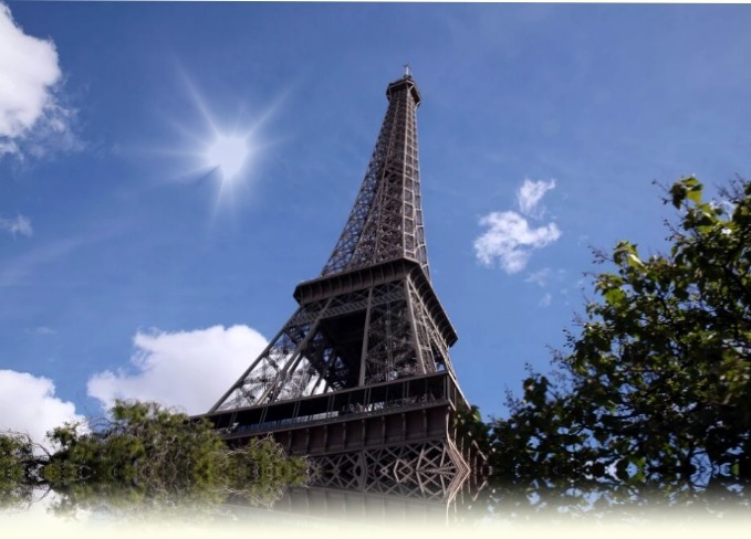 «Aucun arbre centenaire ne sera abattu» au pied de la tour Eiffel, promet la mairie