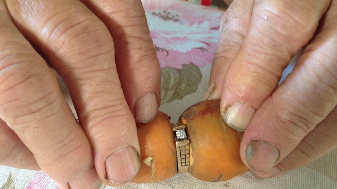13 ans après l’avoir perdue dans son potager, elle retrouve sa bague de fiançailles autour d’une carotte