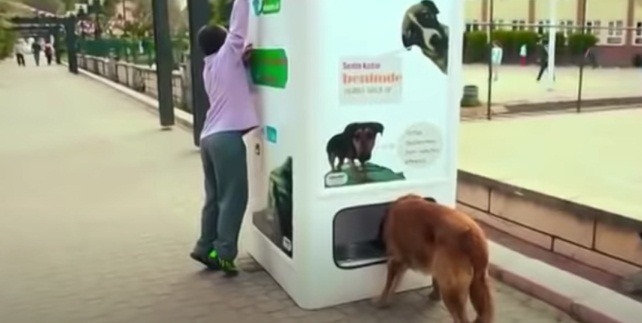 Istanbul : cette machine donne de la nourriture aux chiens errants en échange de bouteilles en plastique
