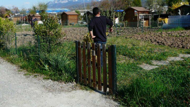 Sécheresse en Haute-Savoie : on peut remplir sa piscine mais pas arroser son potager La majeure partie de la Haute-Savoie a ét