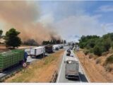 VIDEO. Aude : un incendie parti le long de l'A61 brûle environ 35 hectares vers la montagne d'Alaric