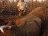 Un chasseur qui exhibait des cadavres de lions et d’éléphants a été assassiné en Afrique du Sud