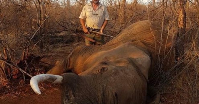 Un chasseur qui exhibait des cadavres de lions et d’éléphants a été assassiné en Afrique du Sud