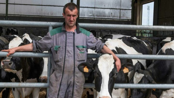 Haute-Loire : l’antenne relais soupçonnée de tuer des vaches coupée par l’éleveur