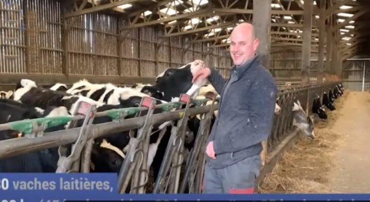 Oise : un éleveur condamné à payer 102 000 euros à ses voisins à cause de l’odeur de ses vaches