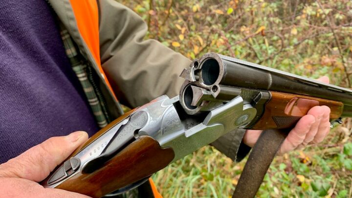 Accident de chasse : un cueilleur de champignons grièvement blessé dans la Drôme