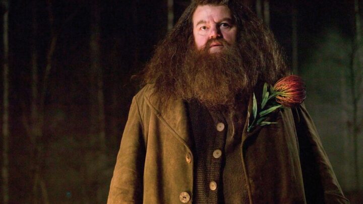 Robbie Coltrane, l’interprète d’Hagrid dans la saga Harry Potter, est mort