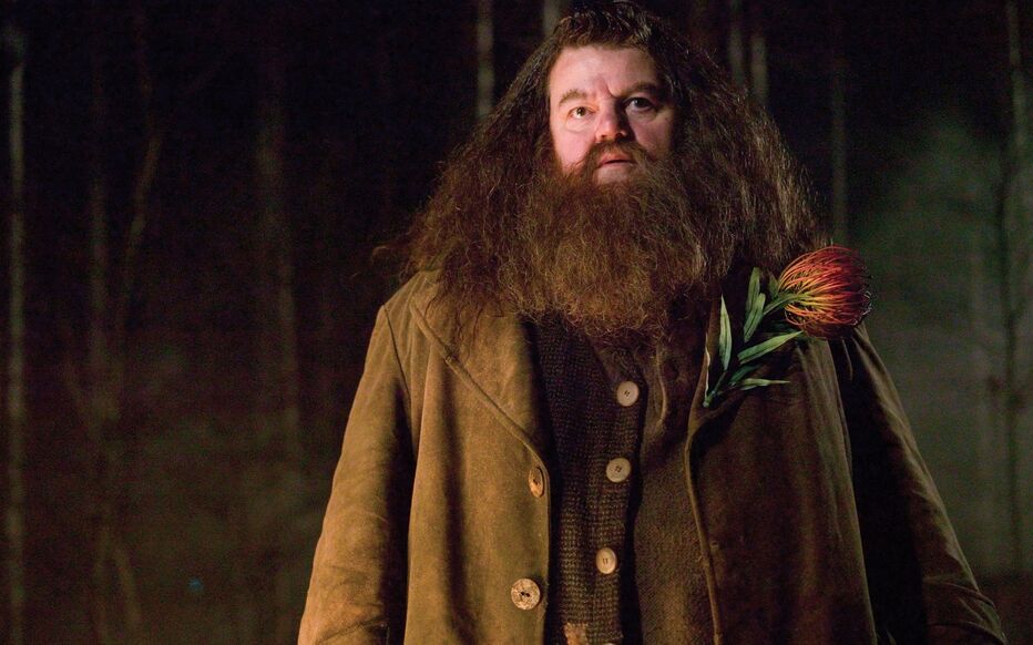 Robbie Coltrane, l’interprète d’Hagrid dans la saga Harry Potter, est mort