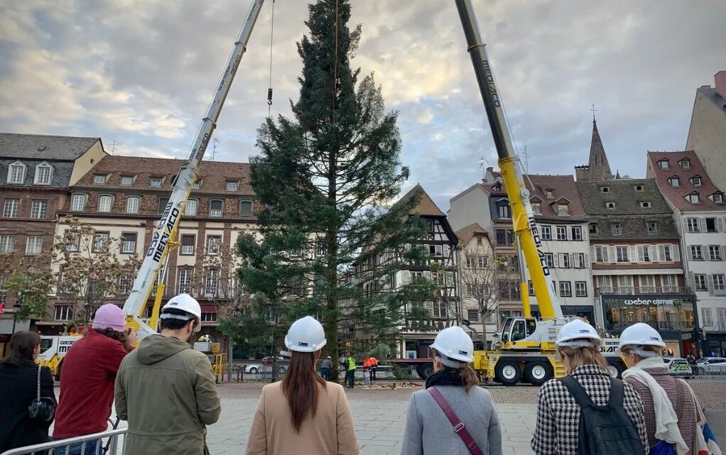 Il est là… Le grand sapin de Noël vient d’atterrir au cœur de Strasbourg