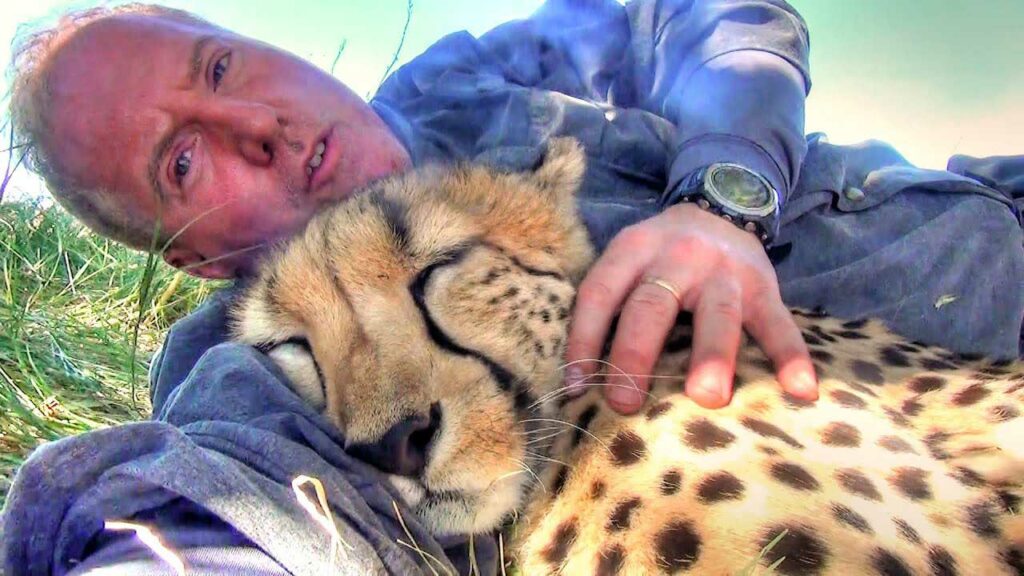 Ce photographe animalier s'est réveillé de sa sieste sous un arbre avec... un guépard endormi contre lui