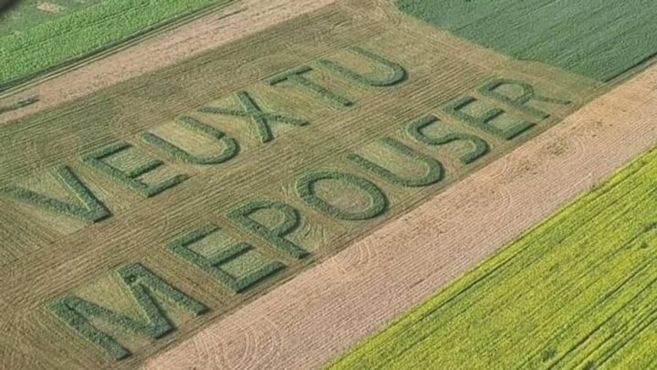 « J’attendais la floraison » : un agriculteur fait sa demande en mariage dans son champ