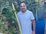 Il a fait pousser une courgette géante d'1,70 mètre dans son jardin