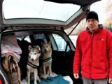 « Je suis épuisé » : ce Breton vit et dort dans sa voiture, avec ses deux huskys, depuis 21 mois