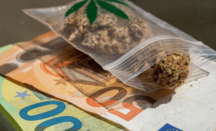 Un dealer et sa mère jettent jettent 14.000 euros et 3 kilos de cannabis par leur fenêtre lors d’une perquisition à Toulouse