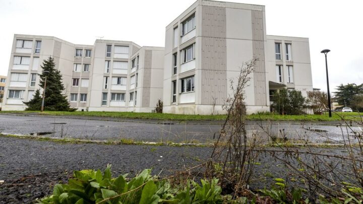 « Le petit venait prendre des tomates » : à 9 ans, il vivait seul dans un appartement en Charente, sa mère condamnée