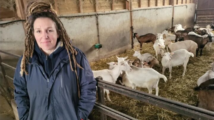 Cette éleveuse, maman solo, cherche un locataire pour sauver sa chèvrerie en Loir-et-Cher