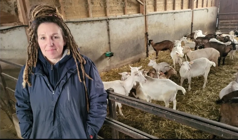 Cette éleveuse, maman solo, cherche un locataire pour sauver sa chèvrerie en Loir-et-Cher