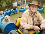 Un homme de 80 ans construit un train pour promener et trouver un foyer pour les chiens errants