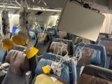 Des turbulences font un mort sur un vol Singapore Airlines