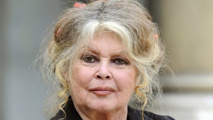 Brigitte Bardot sans filtre sur ce qu’elle pense du climat politique en France