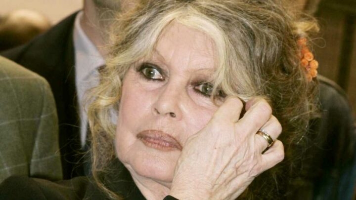 Brigitte Bardot éloignée de ses arrière-petits-enfants : “Je les vois rarement…”